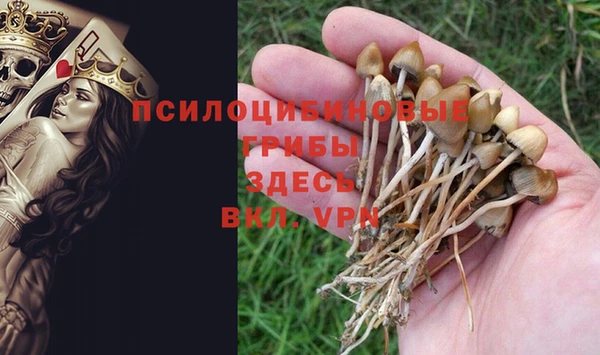 эйфоретик Балахна