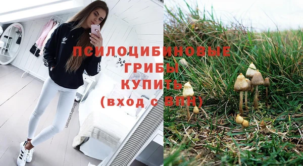 молекула духа Баксан