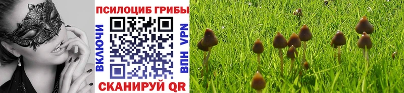 мориарти состав  Бородино  Галлюциногенные грибы GOLDEN TEACHER 